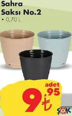 SAHRA SAKSI NO:2 0,70 L SAHRA SAKSI NO:2 0,70 L